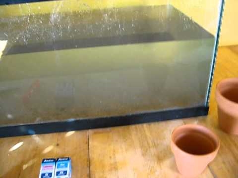  Kuinka puhdistaa leikkihiekkaa akvaariossa 