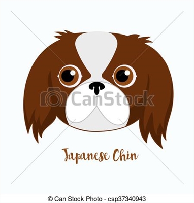  Kaip apkarpyti japonų smakro šunį 