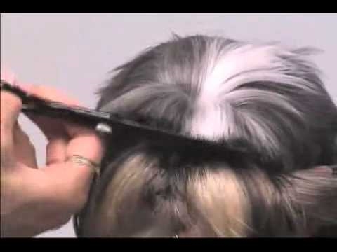  Kaip nukirpti miniatiūrinius šnaucerio plaukus 