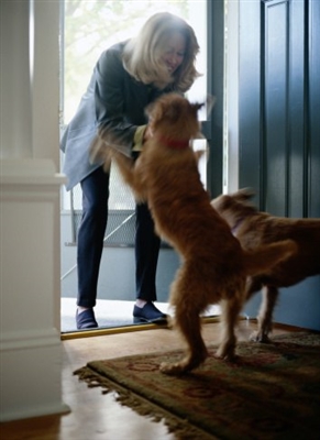  Hogyan üdvözölhetünk egy kutyát, amikor hazajössz 