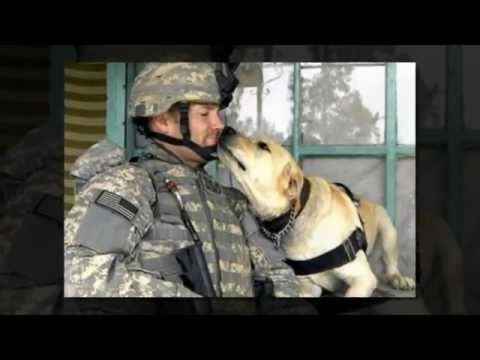  Jak uczynić swojego psa lojalnym 