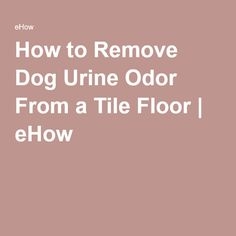  Come rimuovere l'odore di urina del cane da un pavimento di piastrelle 