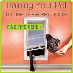  Saugos patarimai, jei naudojate šunų duris 
