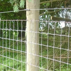  Vrste žičane ograde za pse 