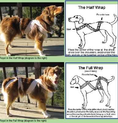  Як загортати собак для лікування тривоги 