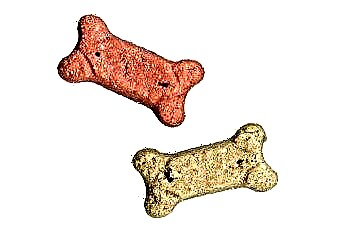  Môže umelé farbenie v krmive pre psov ovplyvniť farbu srsti? 