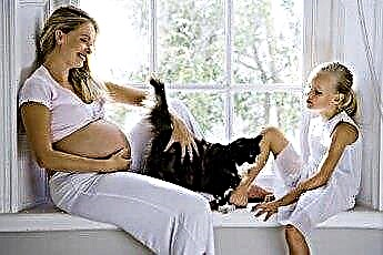  Kan det at have katte i huset påvirke din graviditet? 