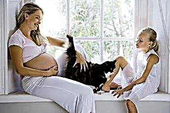  Doença da arranhadura do gato e gravidez 