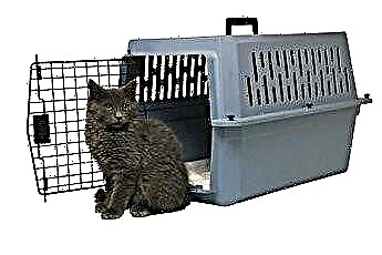  Moraju li mačke biti stavljene u karantenu da bi ušle u Portoriko? 