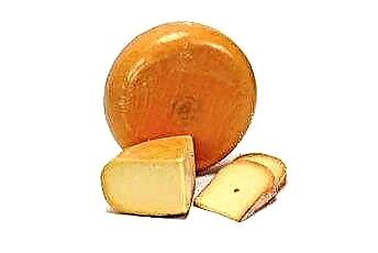  Peynir Kedileri Etkiler mi? 