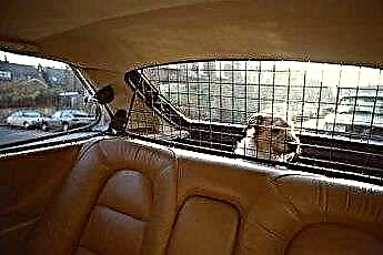  Как да излекуваме хленчещи кучета в кола 