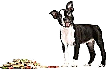  طعام الكلاب للكلاب ذات الحساسية 