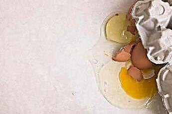  Yumurta Sarısı Bir Köpeğin Kabuğunu İyileştirir mi? 