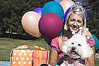  Szórakoztató 1. születésnapi party játékok kutyáknak 