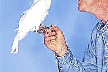 Škodljive kemikalije za ptice 