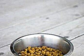 طعام كلاب محلي الصنع مع كيبل 