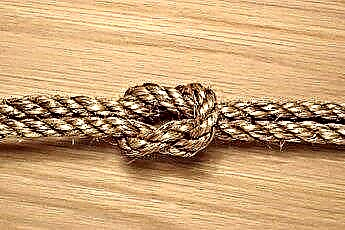  Який вид мотузки використовується на скретчарах котів? 