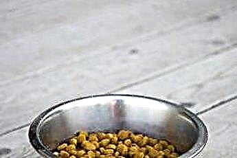  Příprava domácího křupavého krmiva pro psy 