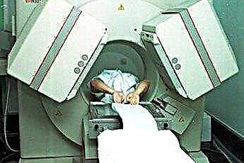  MRI skenē suņiem 