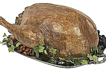  هل عيد الشكر تركيا جيد أم سيئ للقطط؟ 